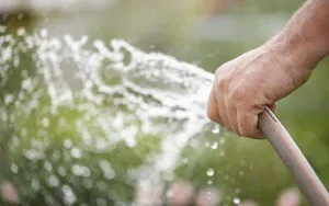 hand holding a hose