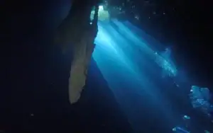 cenote 7 bocas