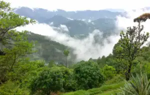 Hill Stations