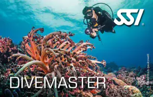 Diving Beyond Limits - Deine Tauchschule in St. Pölten - SSI Divemaster Zertifizierung