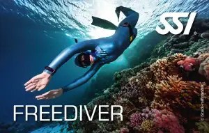 Diving Beyond Limits - Deine Tauchschule in St. Pölten - SSI Freediver