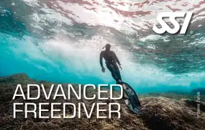 Diving Beyond Limits - Deine Tauchschule in St. Pölten - SSI Advanced Freediver