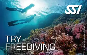 Diving Beyond Limits - Deine Tauchschule in St. Pölten - SSI Try Freediving Anerkennungskarte