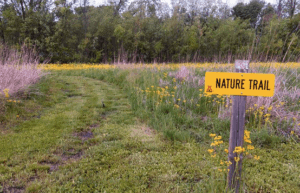 5 SPECTACULAR CAMPGROUNDS NEAR MOLINE, IL | QUAD CITIES CAMPING 5_2021 RockIslandKOA