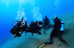 Buceo Aguas Abiertas