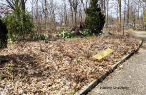 Read more about the article Notes from the Garden: Spring Kick Off at Bettman