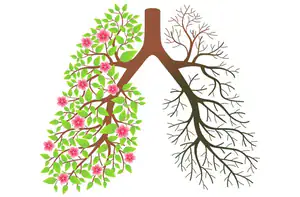 A year without smoking
