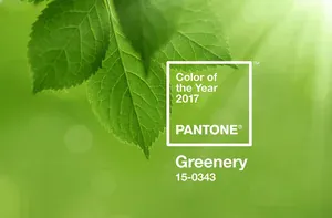 Greenery. Colour Therapy for the New Year