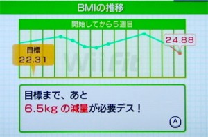 Wii Fit