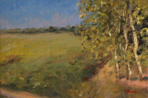 Original oil painting of a summer meadow bordered by birch trees under a blue sky in the Polish countryside, by Andrea Bocedi.