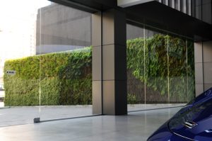 Jardim Vertical Externo Corporativo Para Estética Predial