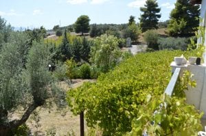 luxury villa for sale on Evia