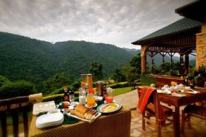 Ichumbi Gorilla Lodge