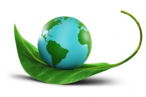Green Stainless Steel Cleaner concentrate