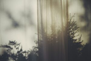 Identidade visual para psicólogos: cortina translúcida com sombras de plantas