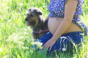 babybauchfotos stuttgart