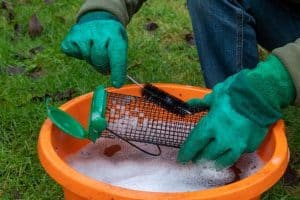How Often Should You Clean Bird Feeders