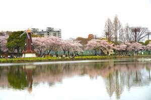浮間公園