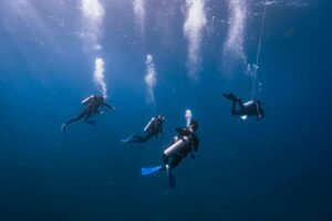 Buceo Aguas Abiertas