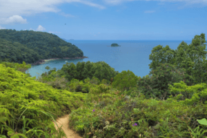 Read more about the article How to get to Ubatuba, Brazil: complete travel guide from São Paulo and Rio