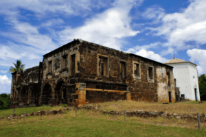 Read more about the article What to do in Brazil in November