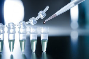 Fotolia_45158534_XS-300x200