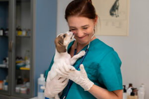 Veterinary Clinic
