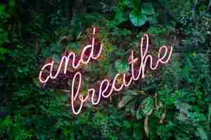 The words "and breathe" in pink with leaves behind them. Start Somatic therapy in Michigan today.