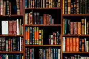 assorted-title of books piled in the shelves, a fitting symbol for what somatic therapy in Farmington Hills teaches the nervous system to do.
