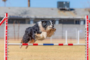 GDA USDAA 022225 1038 scaled 1