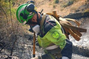 Bomberos trabajando en incendio forestal La Mierla Guadalajara