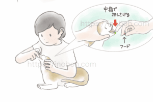 猫の口を開いて、飼い主が薬を飲ませている、やり方