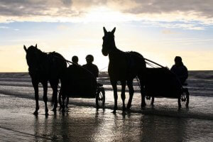 balade en sulky sur la plage pour l'entrainement