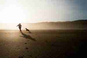 hd wallpaper 863139 1280