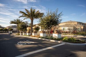Gated entrance and resort-style streetscape of Playa Del Sol featuring palm trees and modern architecture