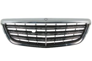 MAYBACH GRILL ATRAPA NA KAMERĘ