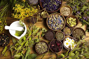 The Wonders of Herbalism