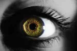 A look into Iridology. The windows to your state of health. 
