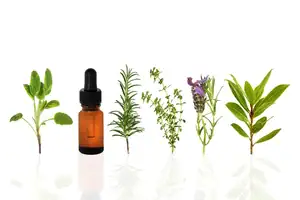aroma therapy