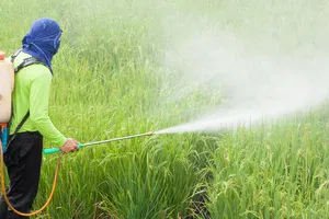 Pesticide Spraying - A guide to holistic shopping - Part 1