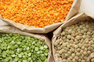 Our top 4 absolutely delicious recipes with lentils