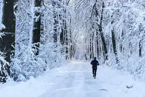 running in snowy woods