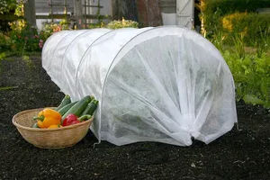 plants covered with a drape