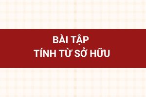 Bài tập tính từ sở hữu có đáp án chi tiết