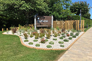 Hoburne Mews - Johnsons recent plant supply