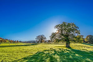 How UK Agricultural Finance Can Help You