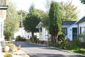 Serenity Park - Park or Land to Sell?