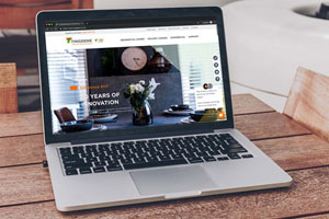 Tingdene new website on laptop