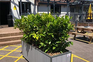 bespoke designs planter