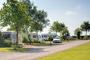 Glastonbury touring park